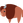 :bison: