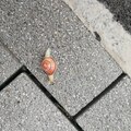 2018-04-04 - 08h35m55s.jpg